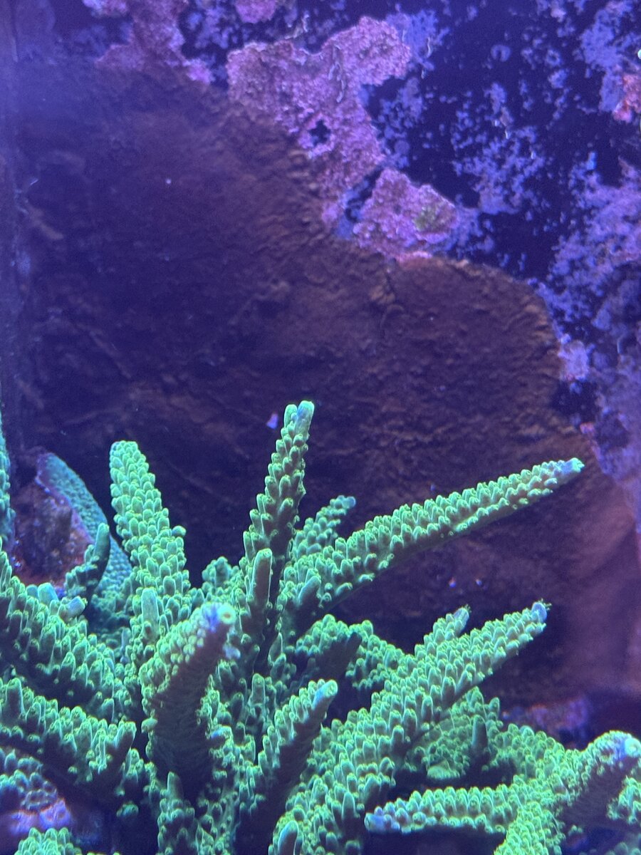 IMG_1289.jpeg