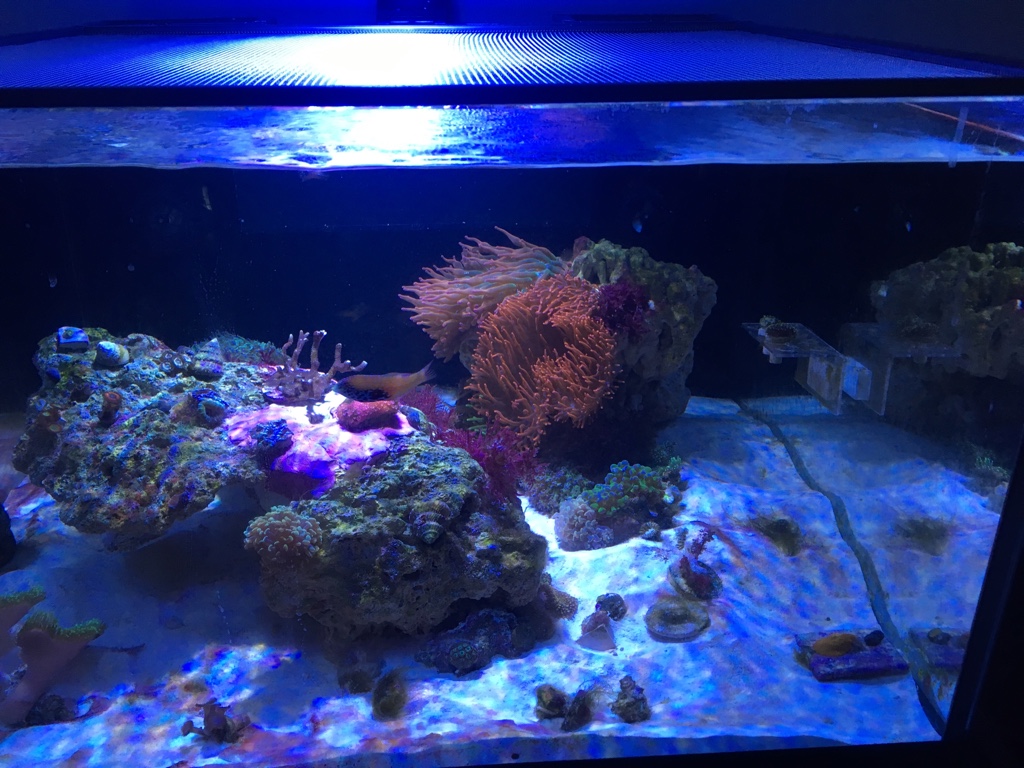 IMG_1292.JPG