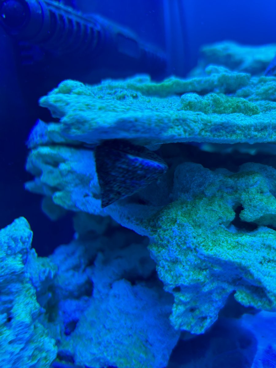 IMG_1301.jpeg
