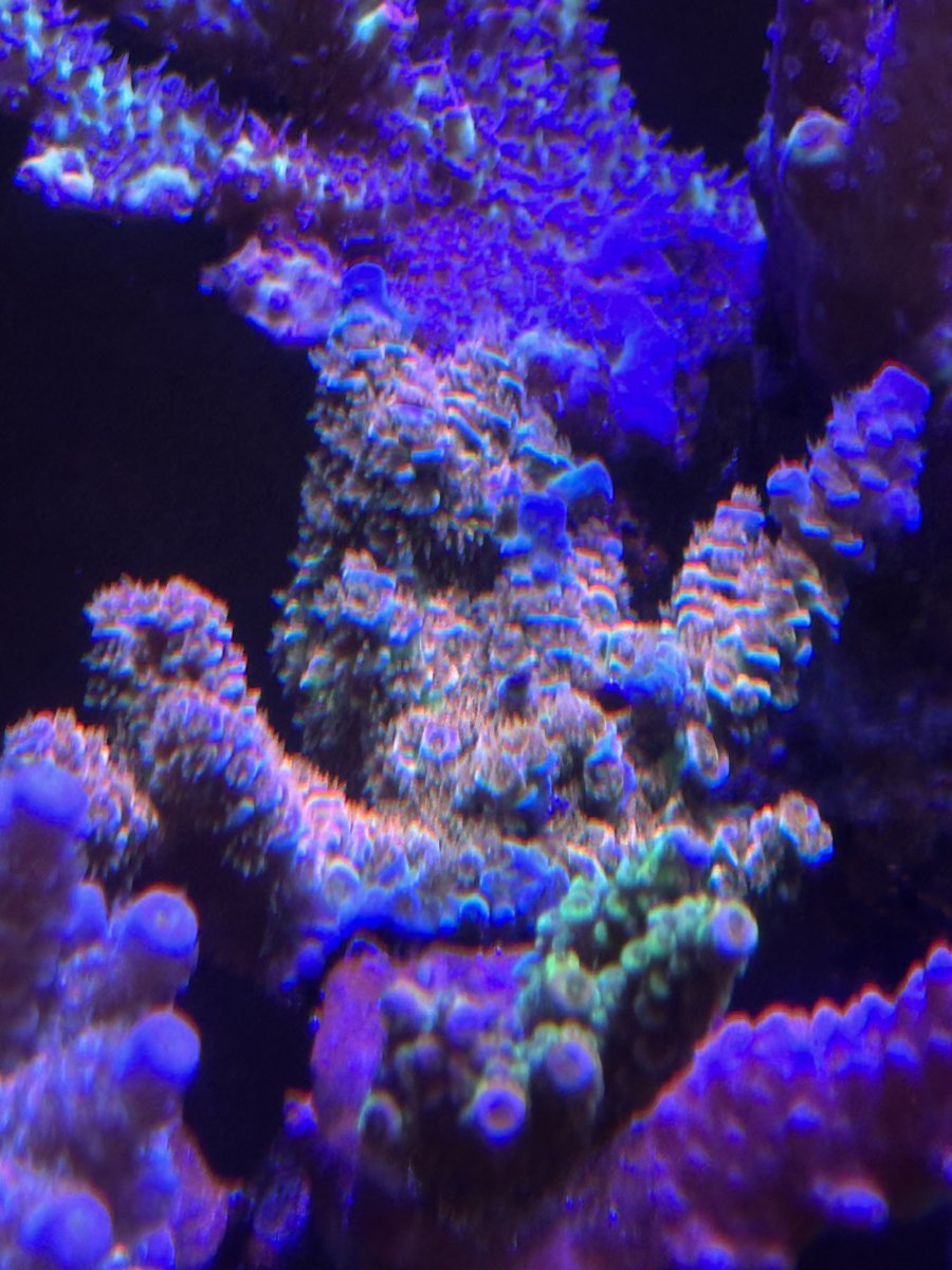 IMG_1309.jpeg