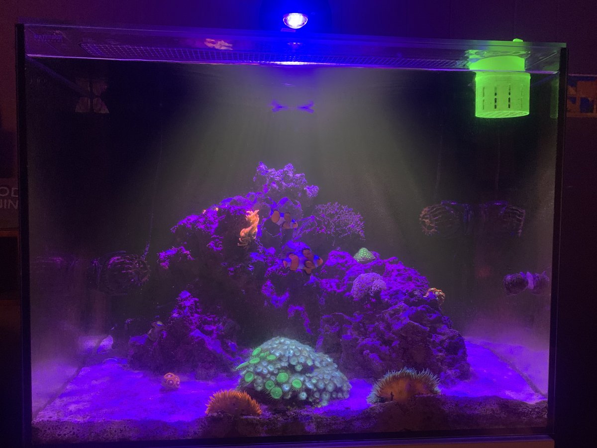 IMG_1310.jpeg