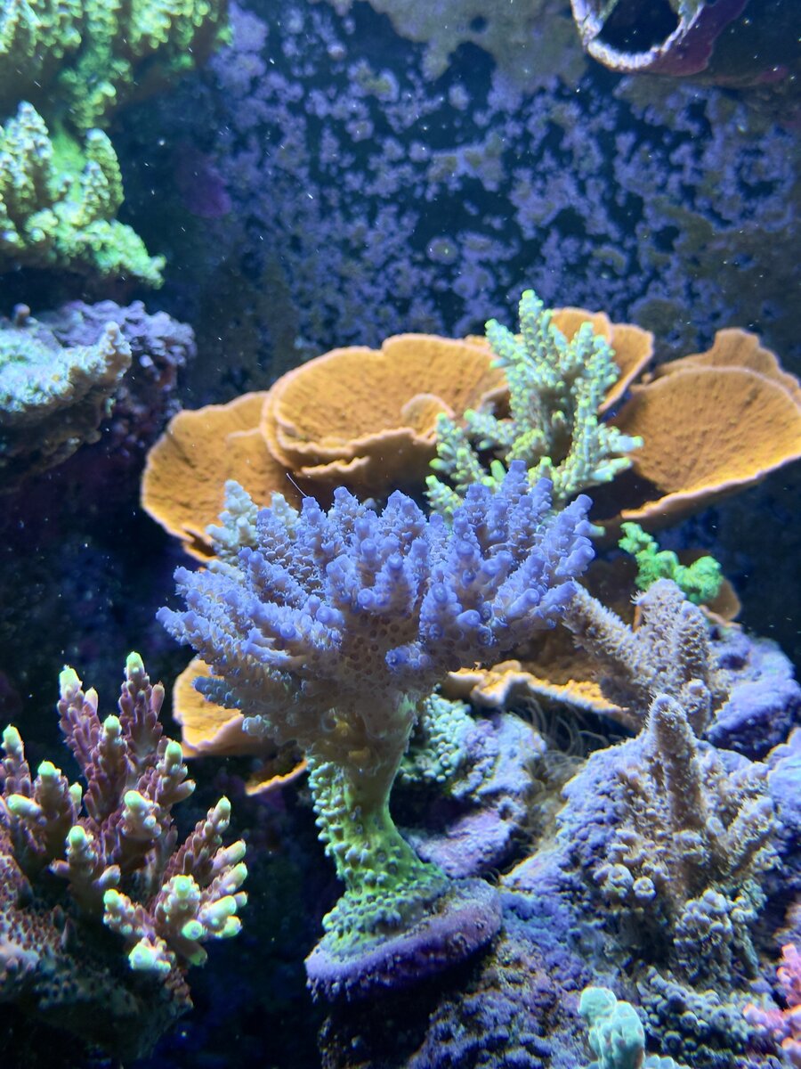 IMG_1324.jpeg