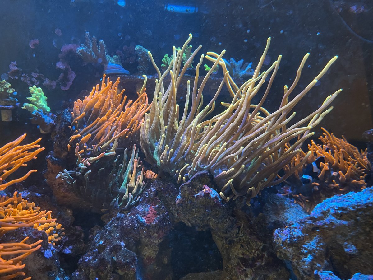 IMG_1326.jpeg
