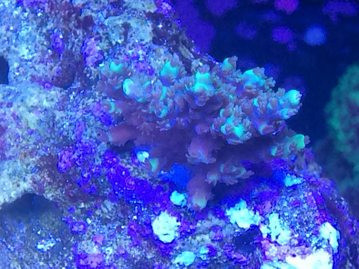 IMG_1340.JPG