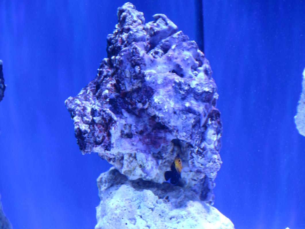IMG_1347.jpg