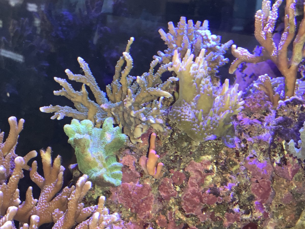 IMG_1365.jpeg