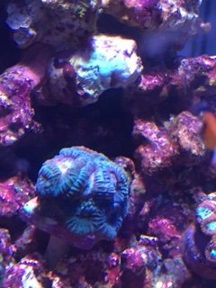 IMG_1370.JPG