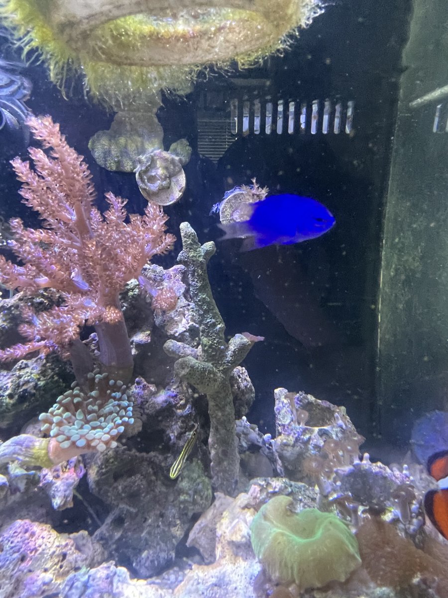 IMG_1371.jpeg