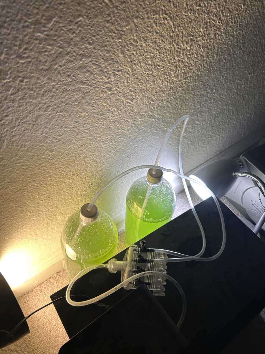 IMG_1372.jpeg
