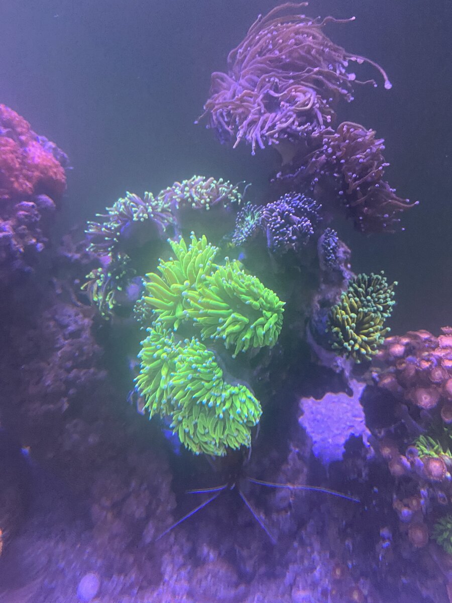 IMG_1374.jpeg