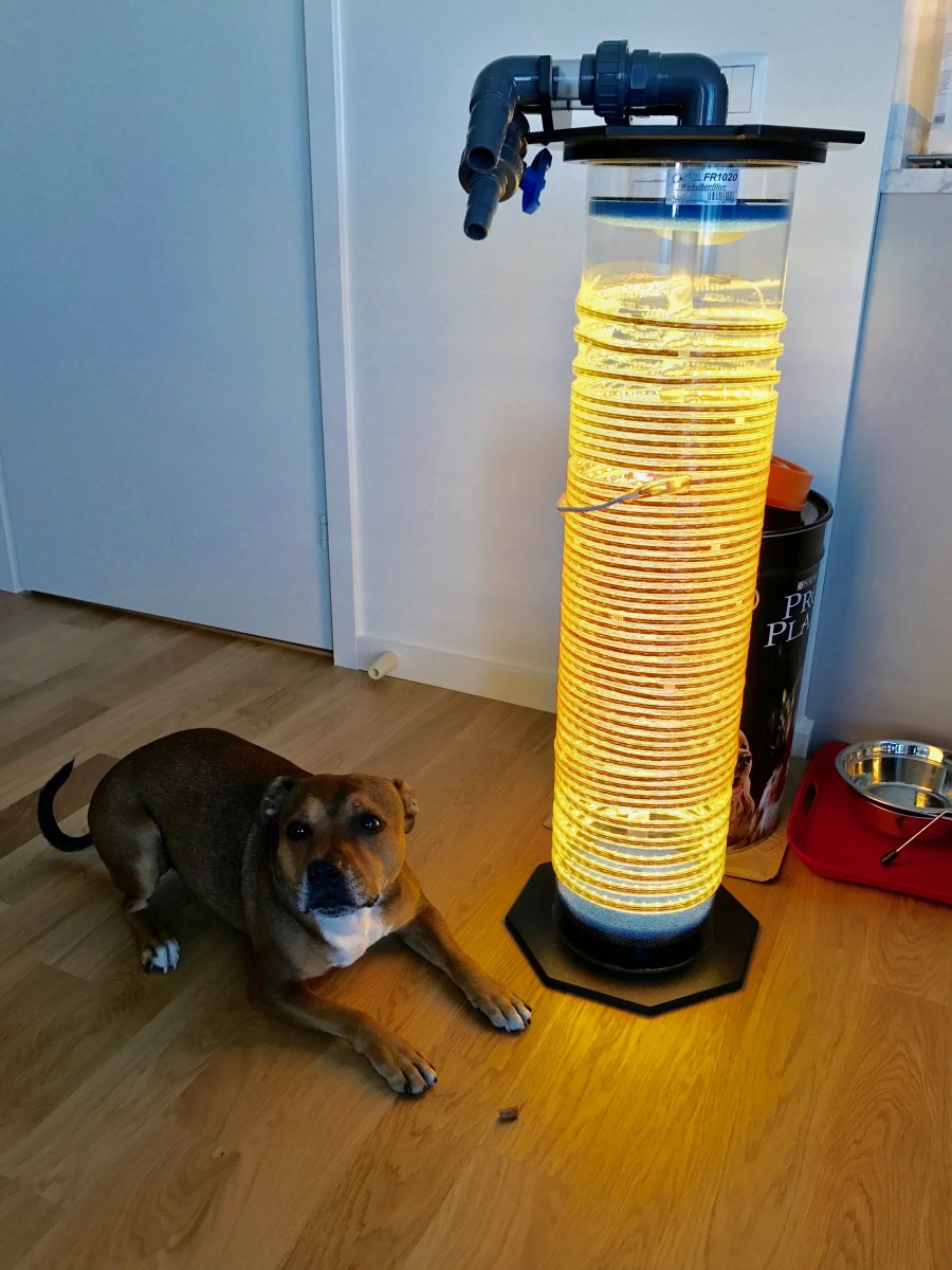 Build Thread - Schuran Customs 90g tank with HUGE Algae reactor | Reef2Reef