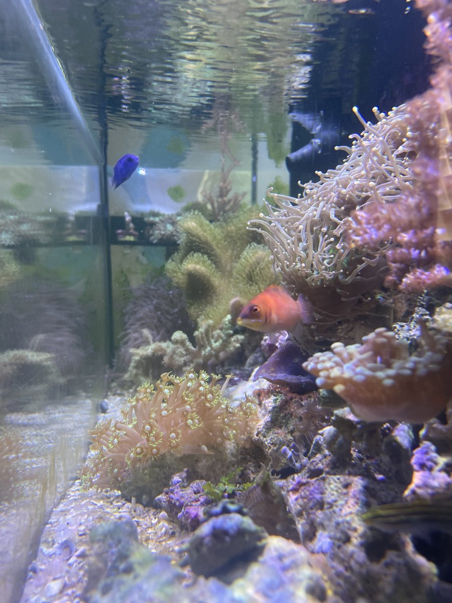 IMG_1377.jpeg