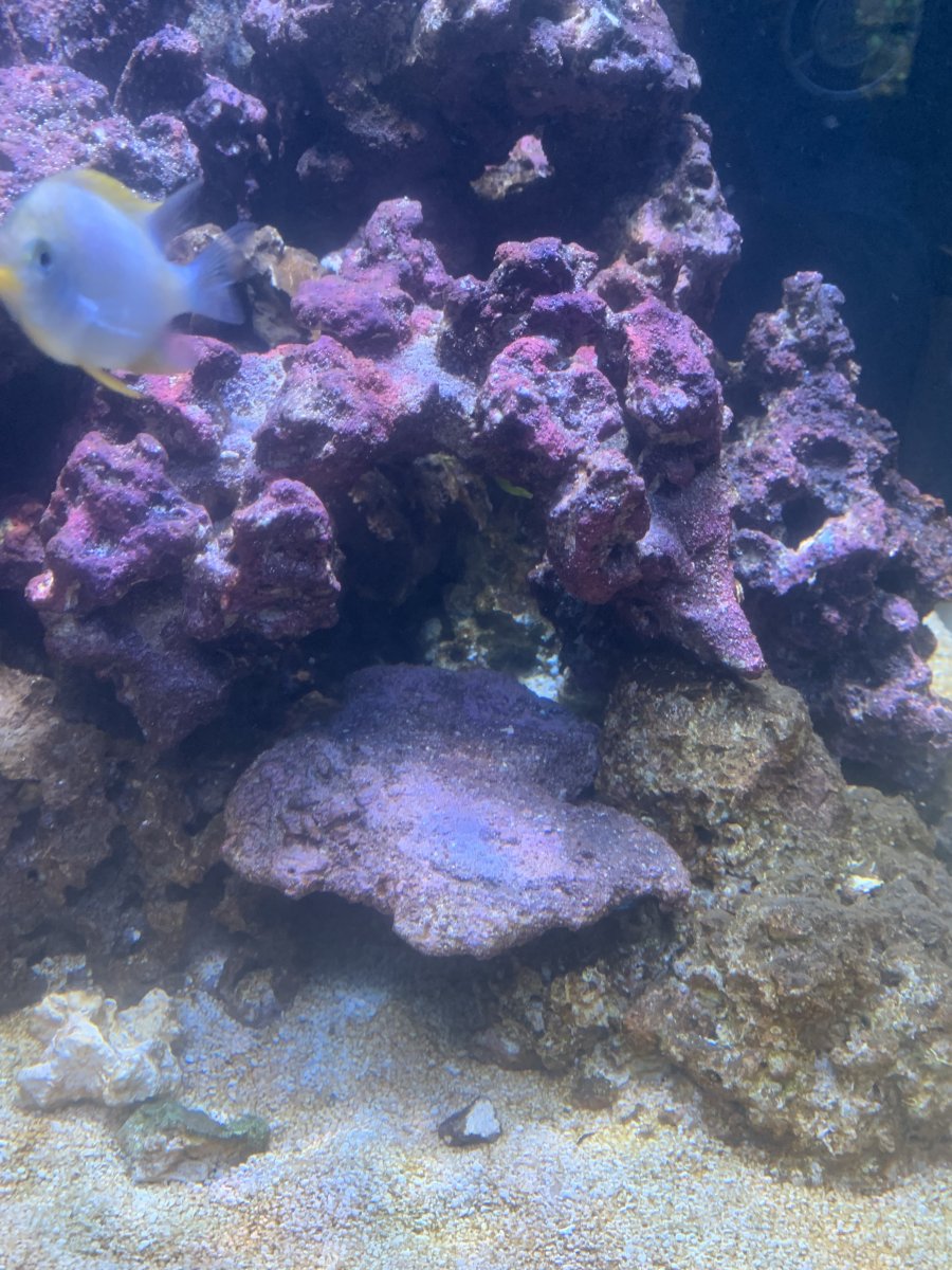 IMG_1379.jpeg
