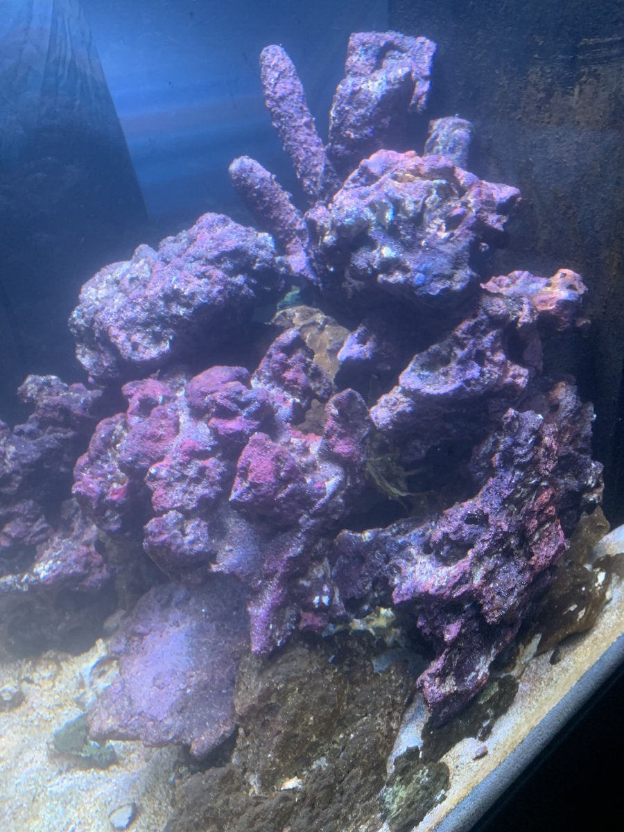 IMG_1382.jpeg