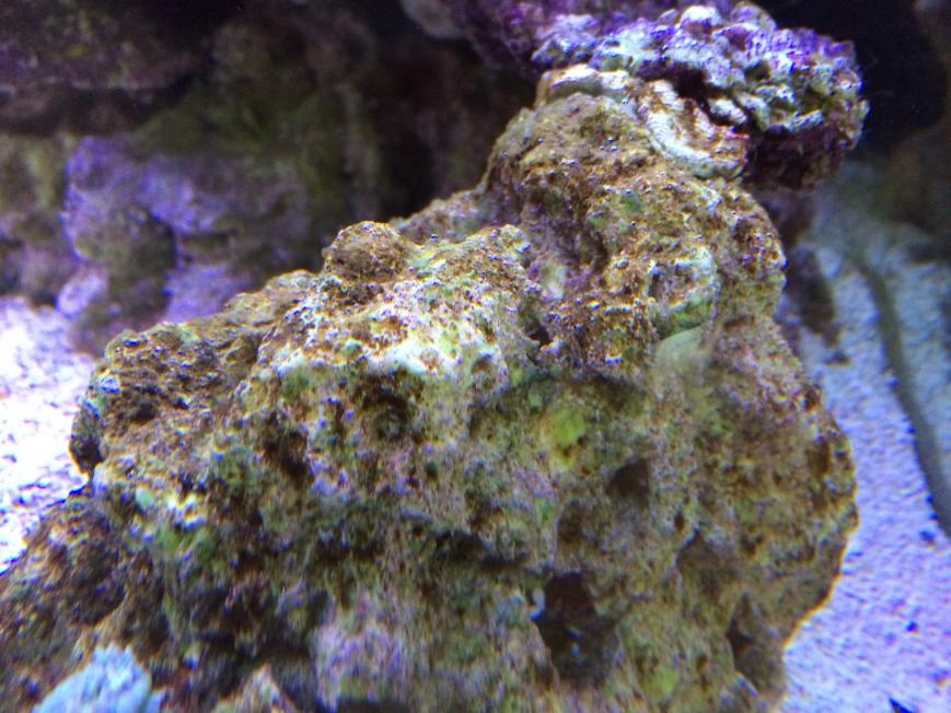 IMG_1408.jpg