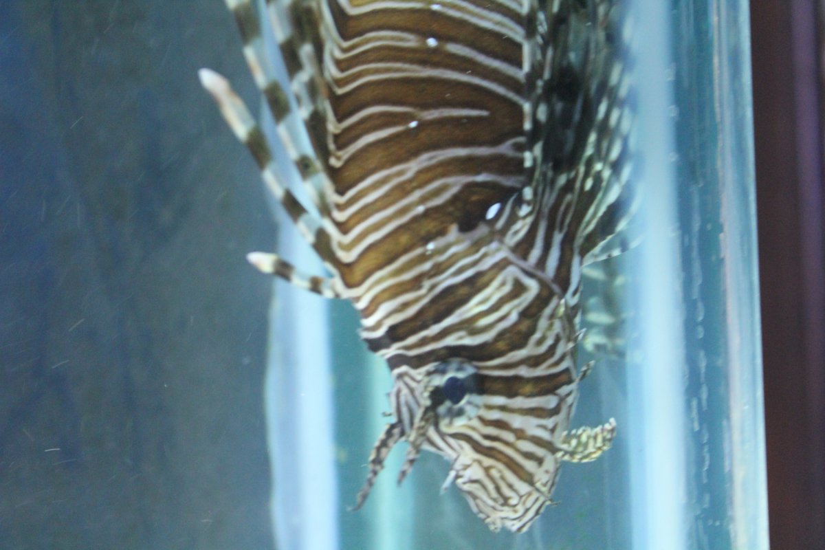 IMG_1424.JPG