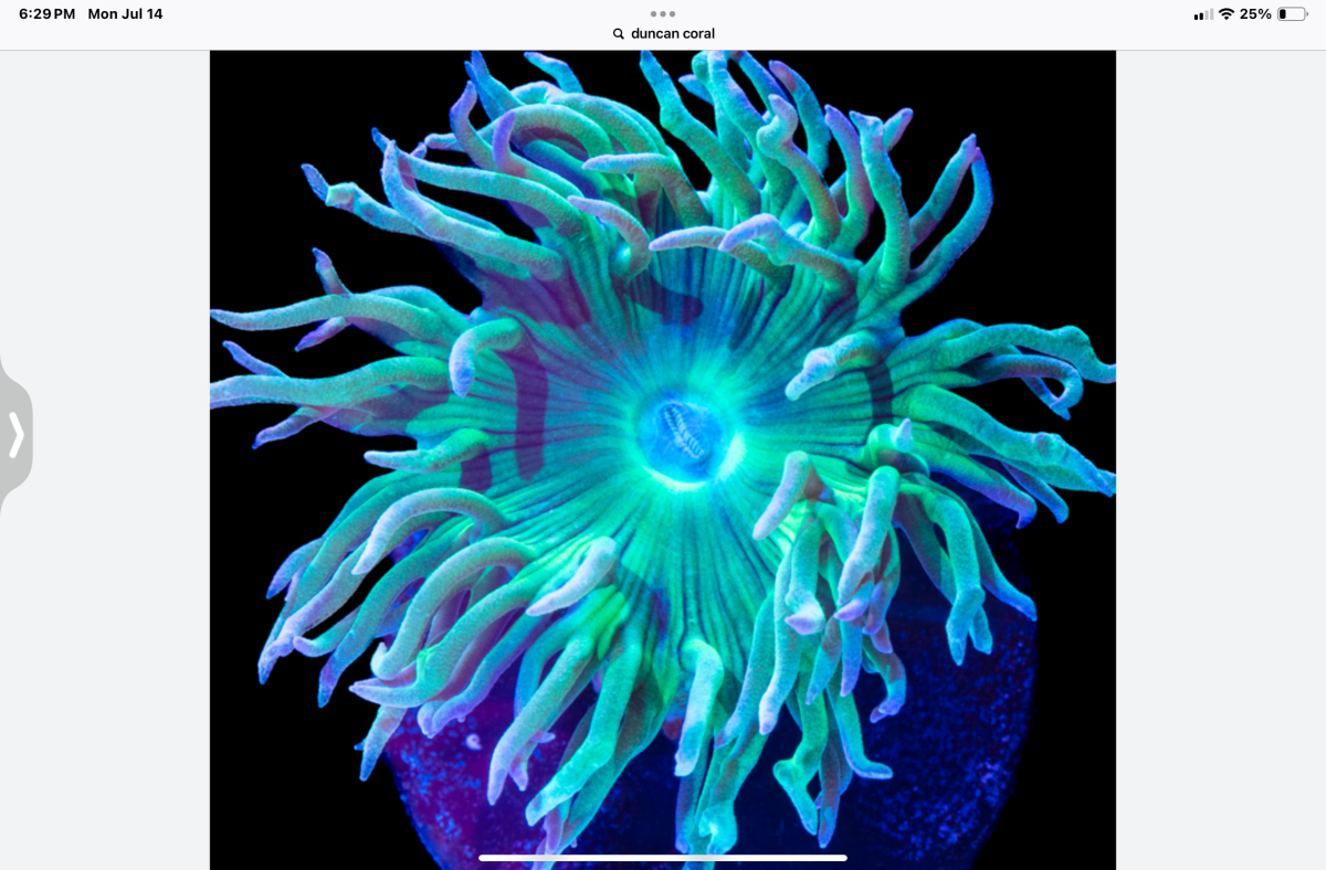 IMG_1424.png