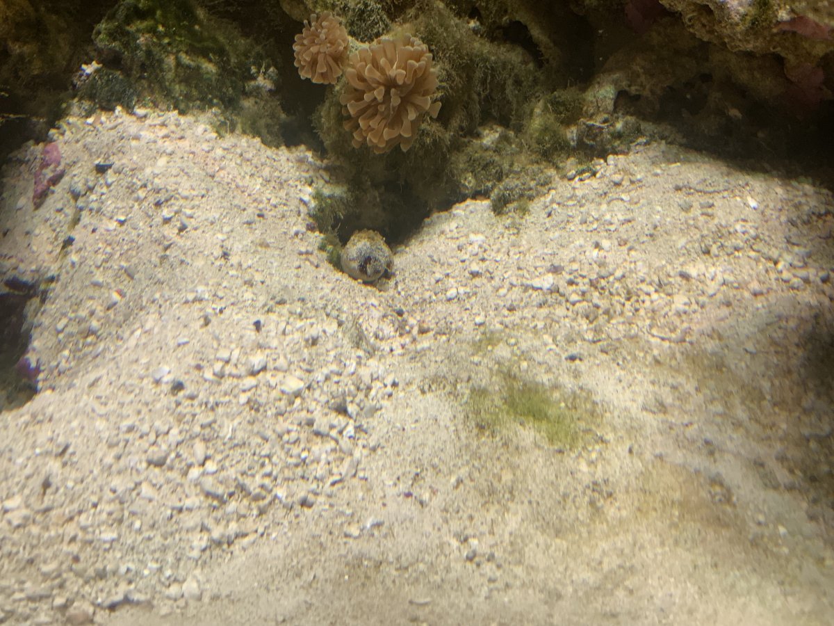 IMG_1429.jpeg