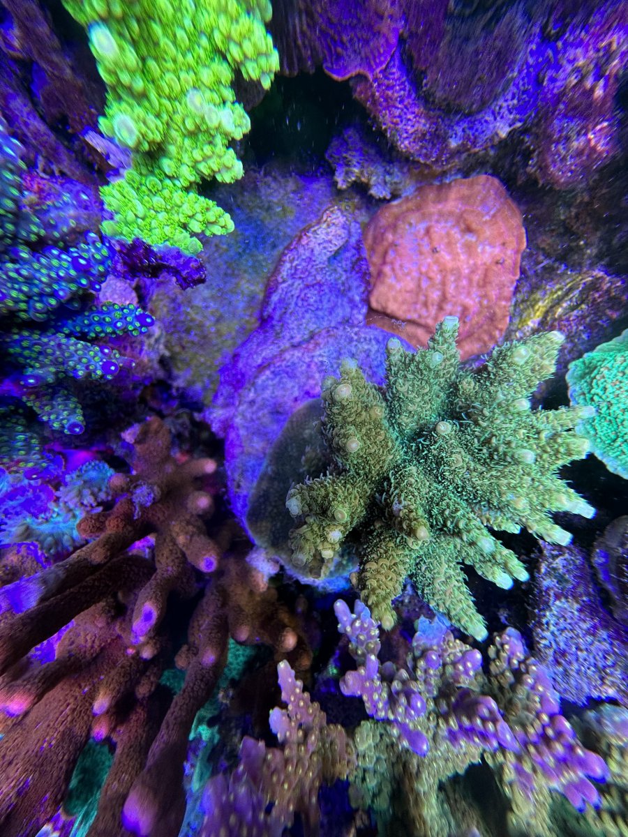 IMG_1451.jpeg