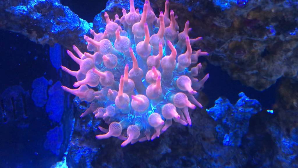 IMG_1452.jpeg