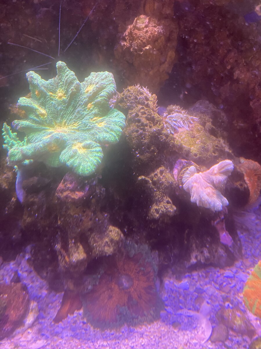 IMG_1454.jpeg