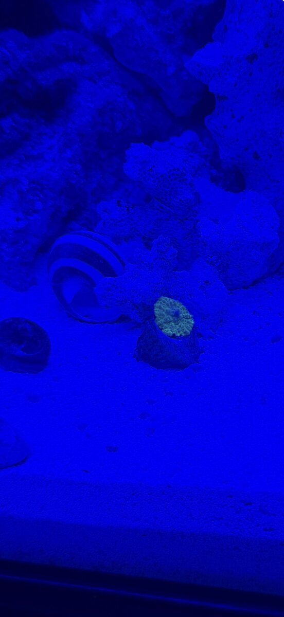 IMG_1458.jpeg