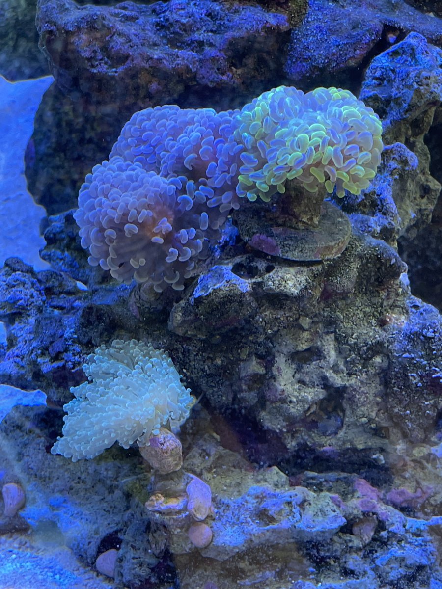IMG_1464.jpeg