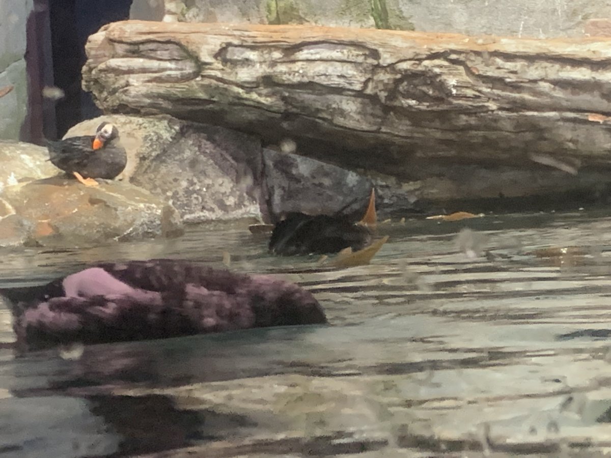 IMG_1466.jpeg