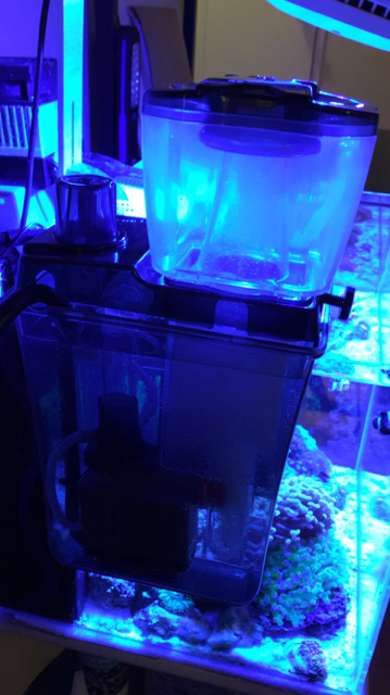 Bubble magus qq1 not producing skimmate | REEF2REEF Saltwater and Reef