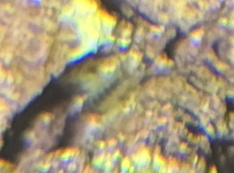 IMG_1485.jpeg