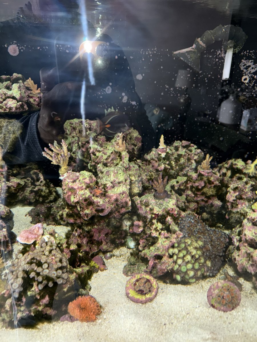 IMG_1500.jpeg