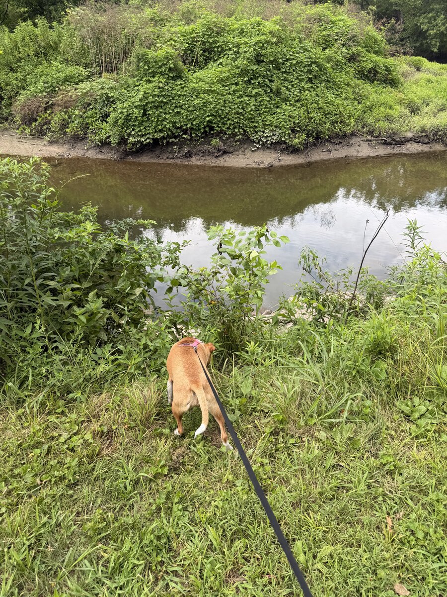 IMG_1501.jpeg
