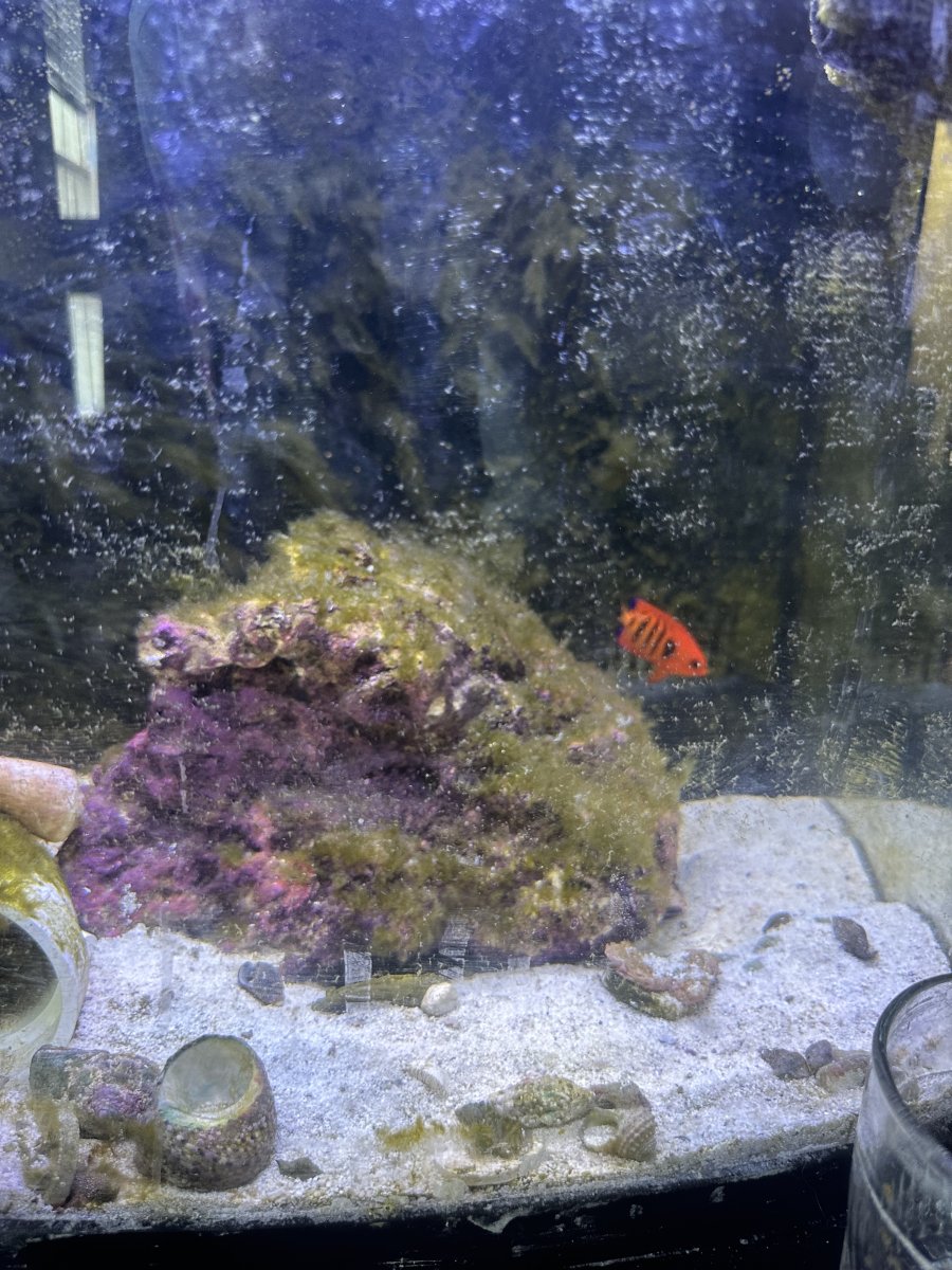 IMG_1503.jpeg