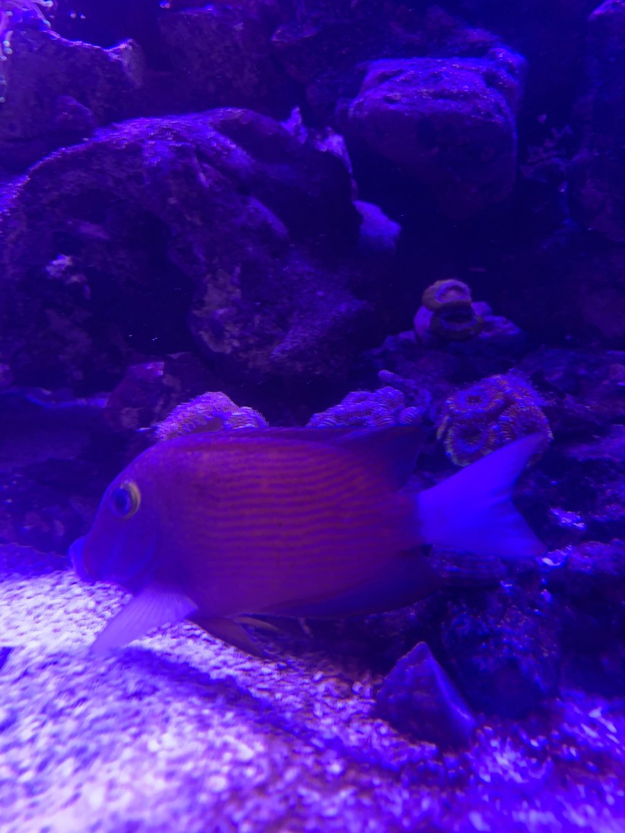 IMG_1506.jpeg