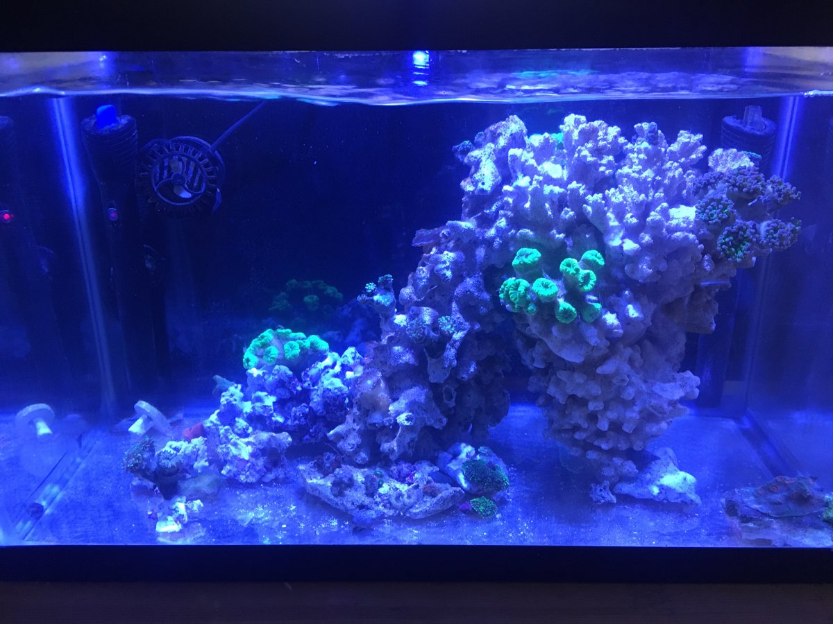 After much scaping I've finally settled on a scape. What do you think ...