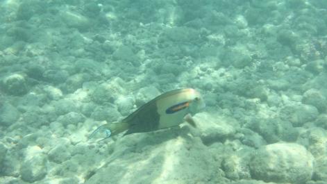 IMG_1517.jpg
