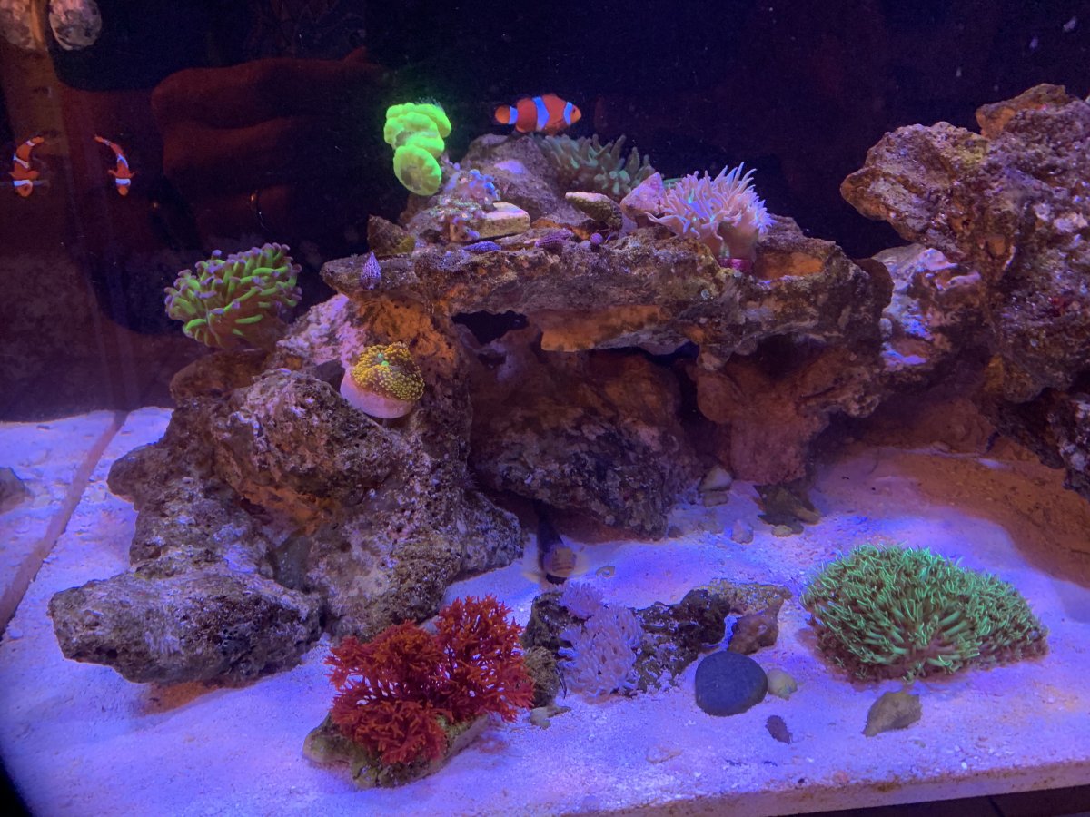 IMG_1536.jpeg
