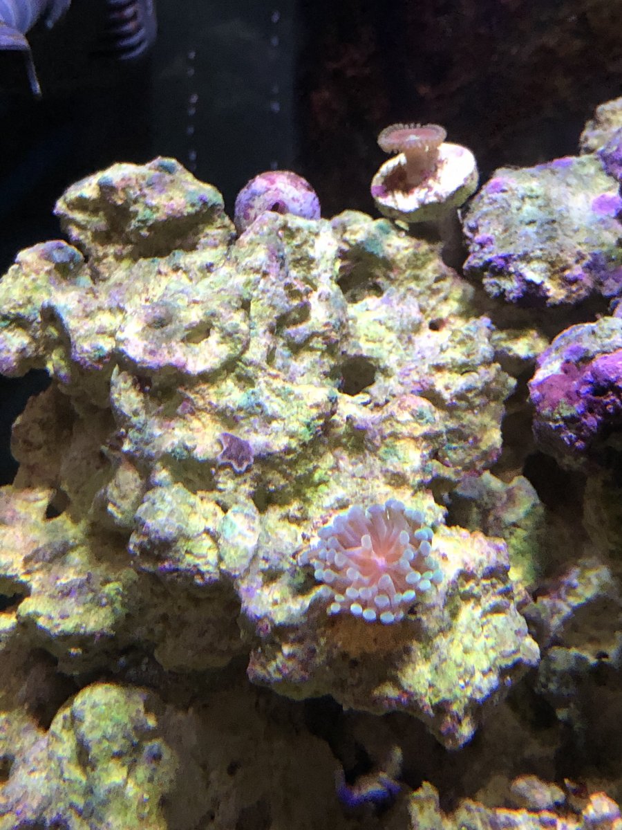 IMG_1563.jpeg