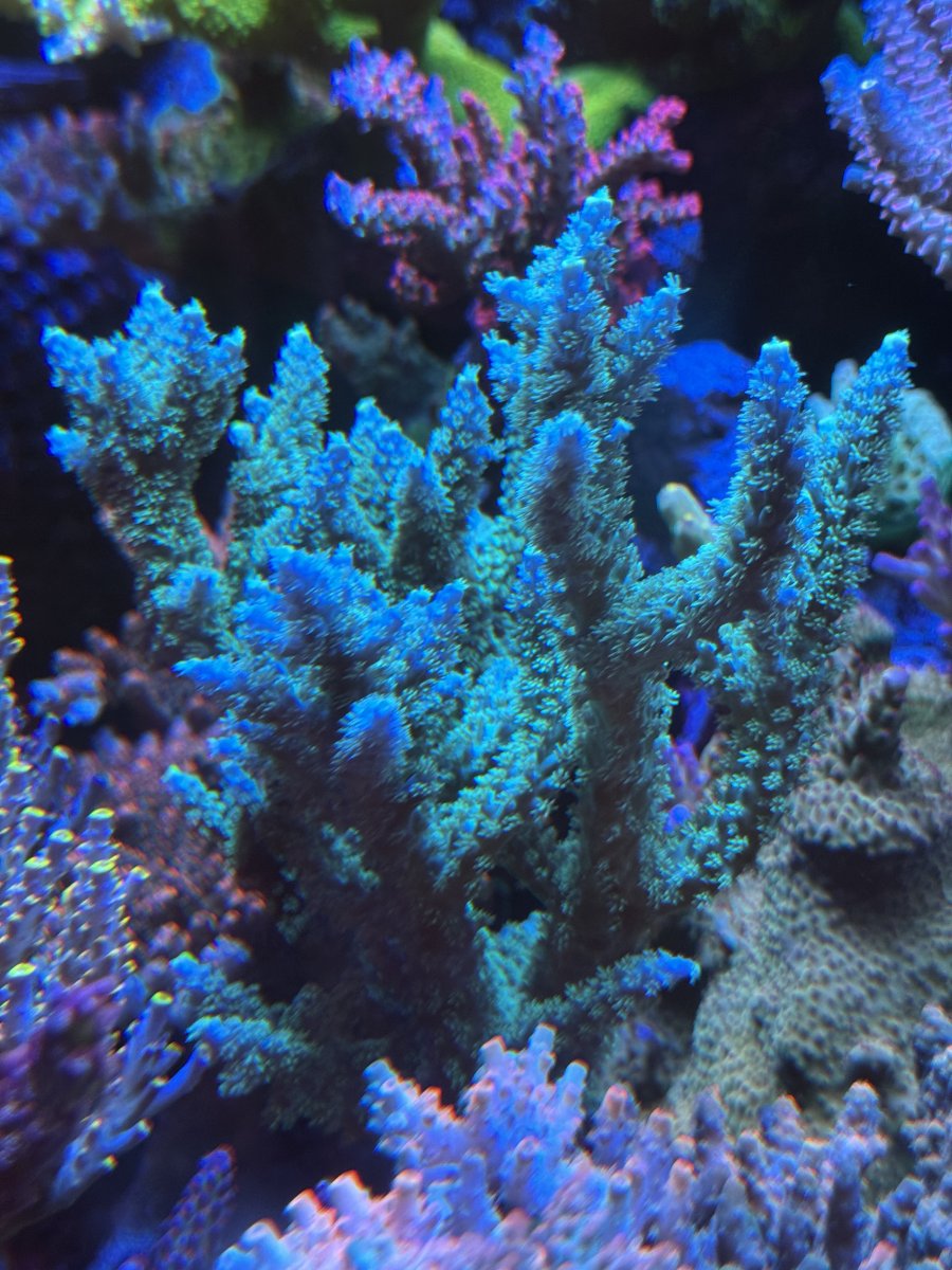IMG_1563.jpeg