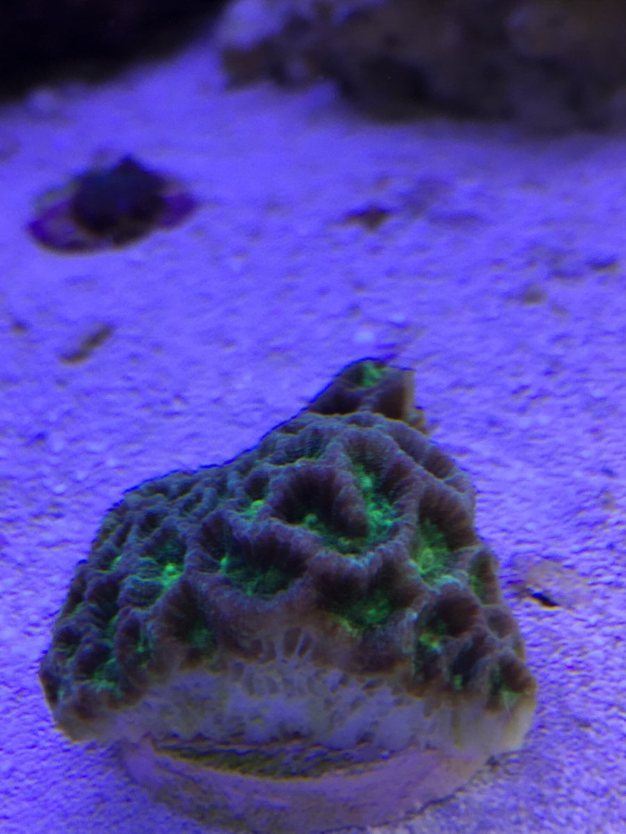 IMG_1595.JPG