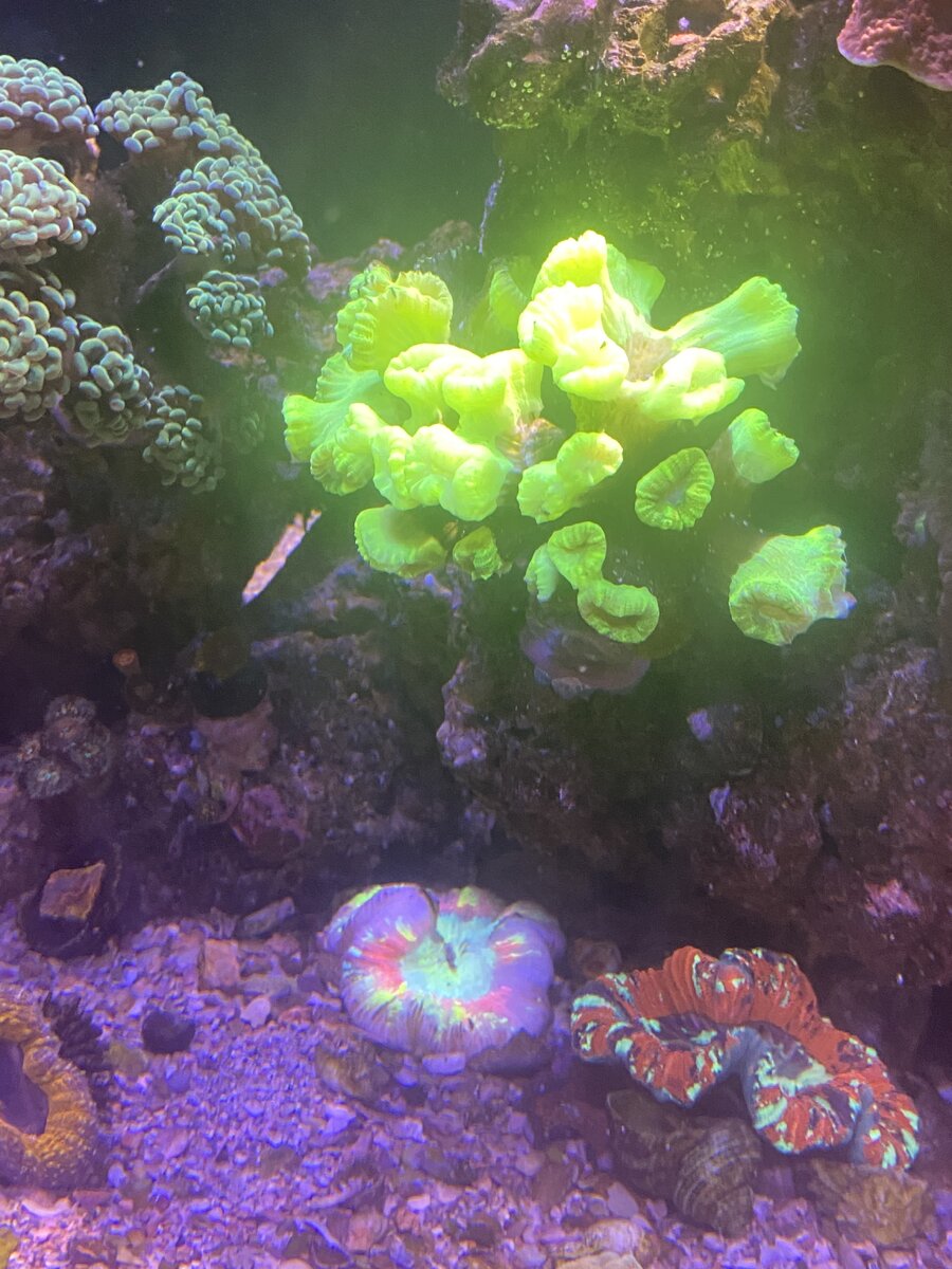 IMG_1604.jpeg