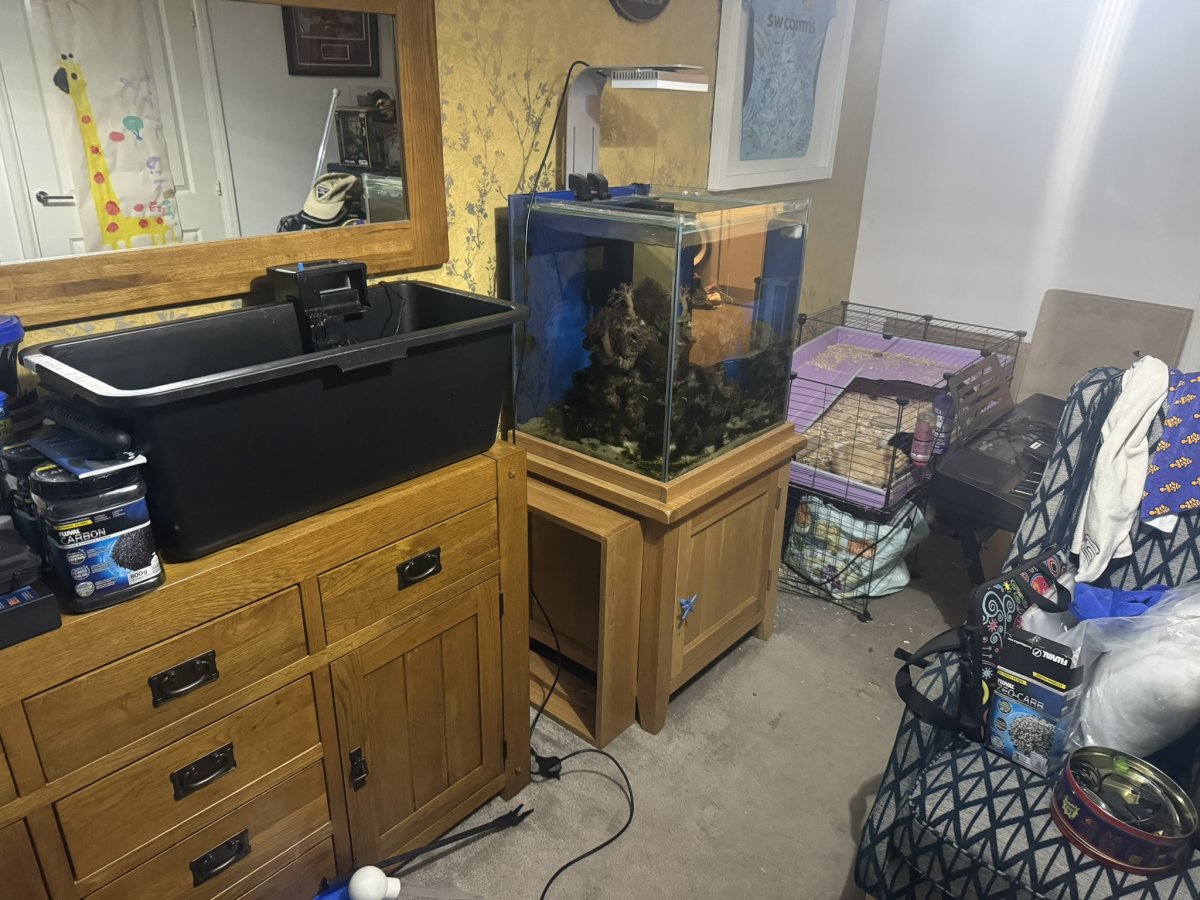 IMG_1606.JPEG