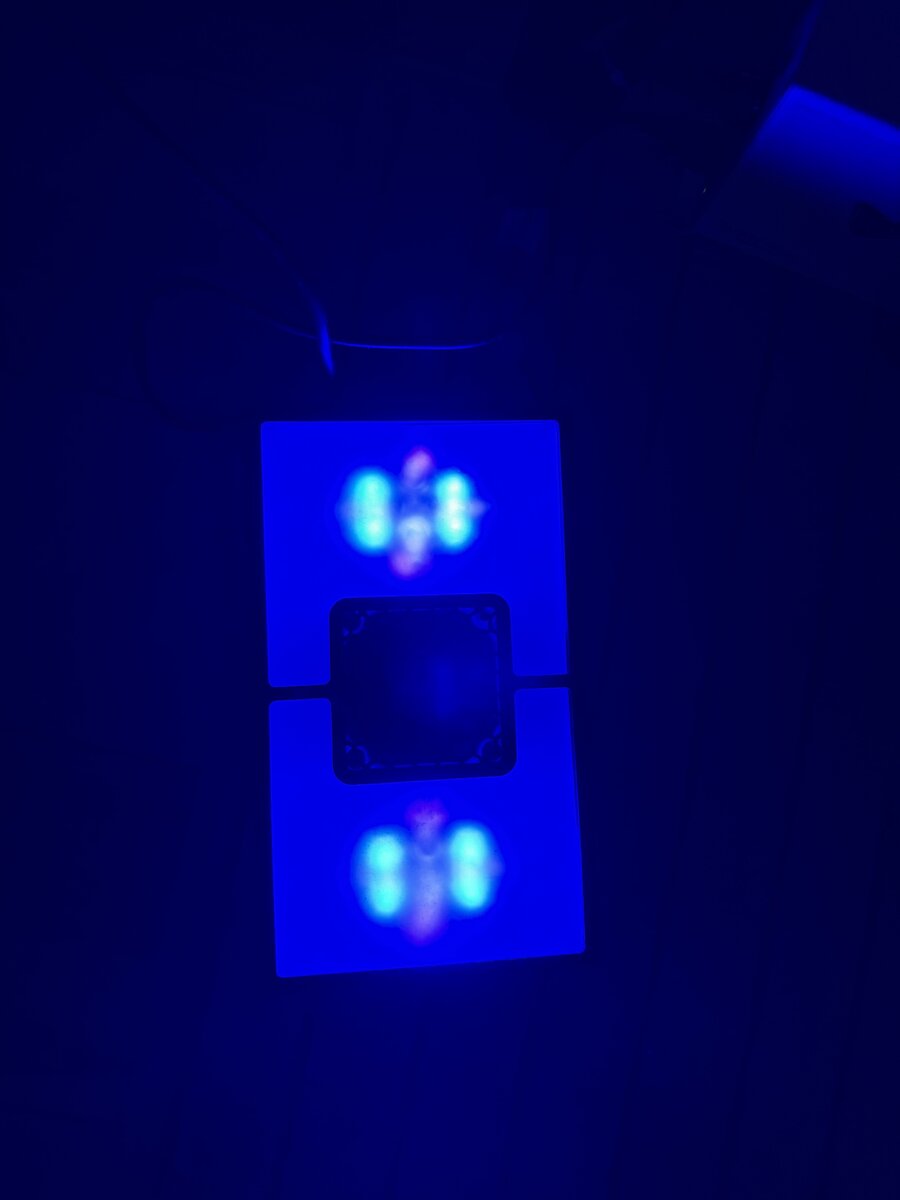 IMG_1614.jpeg