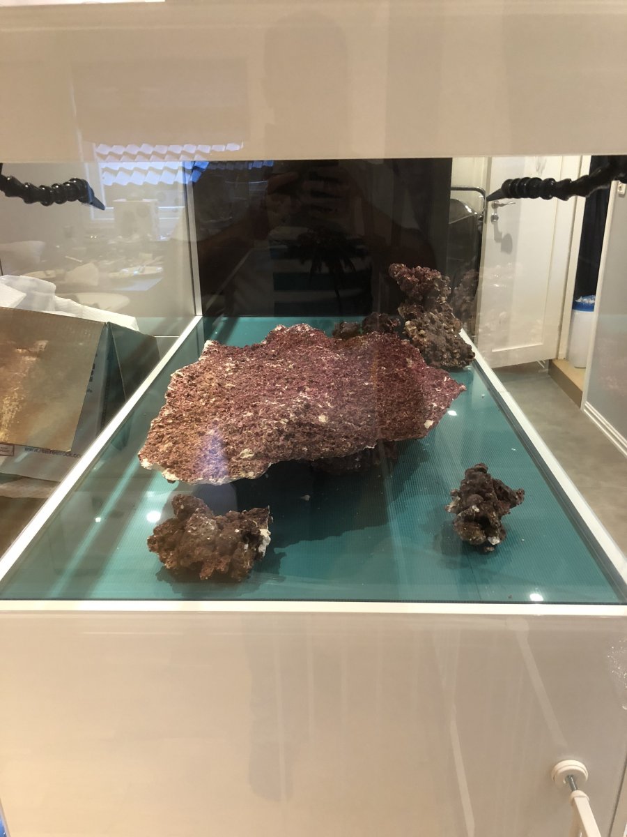 IMG_1622.jpeg