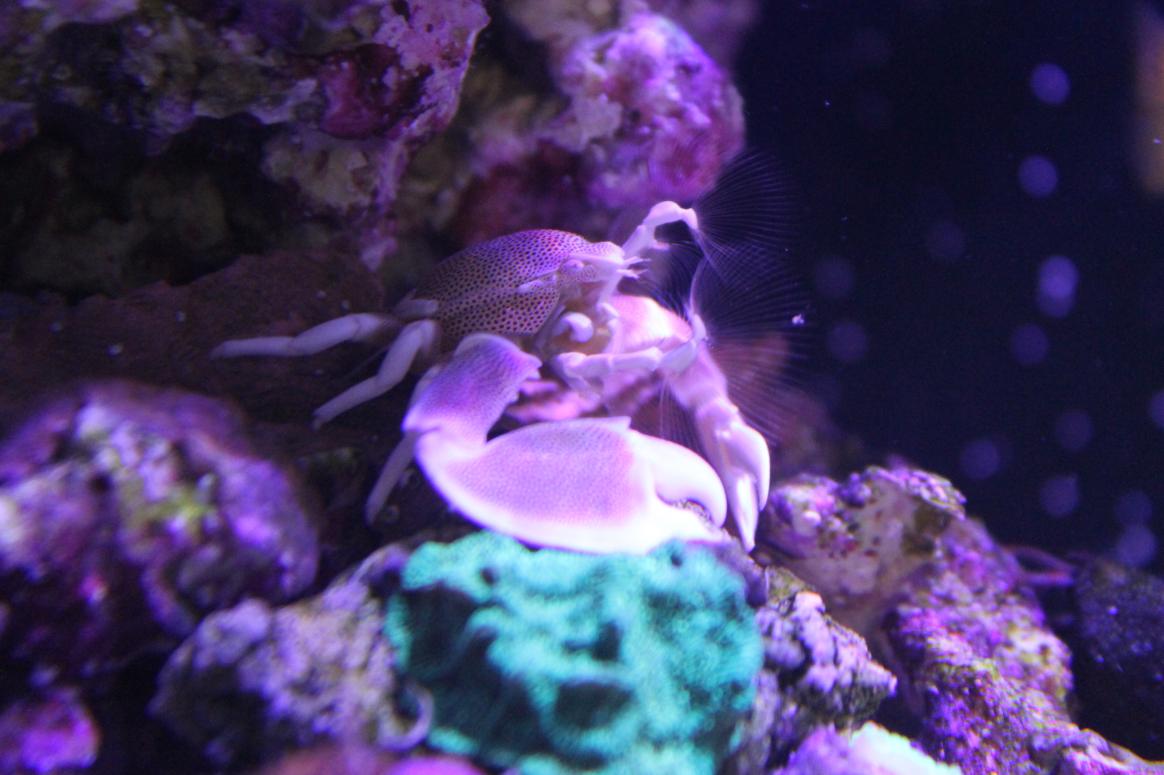 IMG_1622.jpg