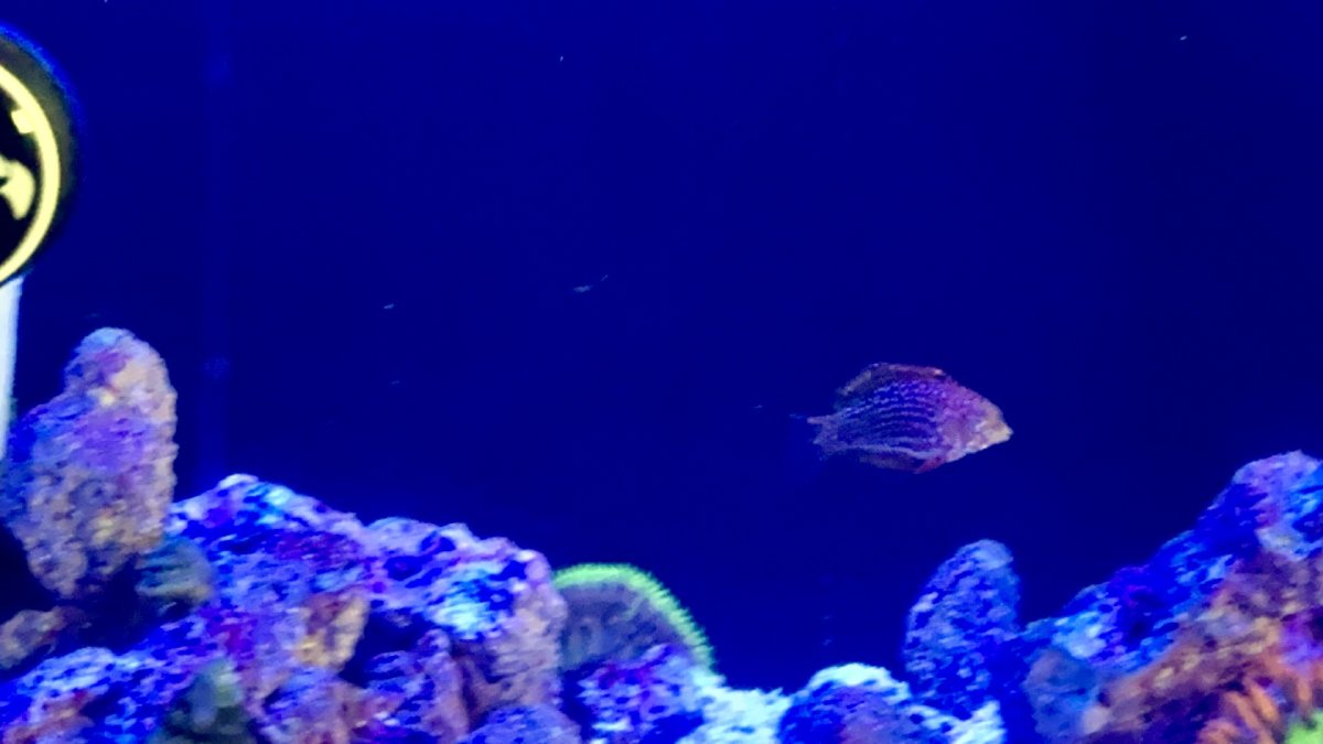 IMG_1623.jpeg