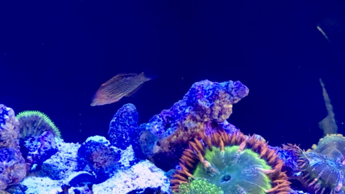 IMG_1624.jpeg