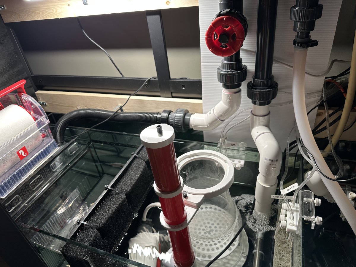 Waterbox Infinia 230.6 build | Page 2 | Reef2Reef