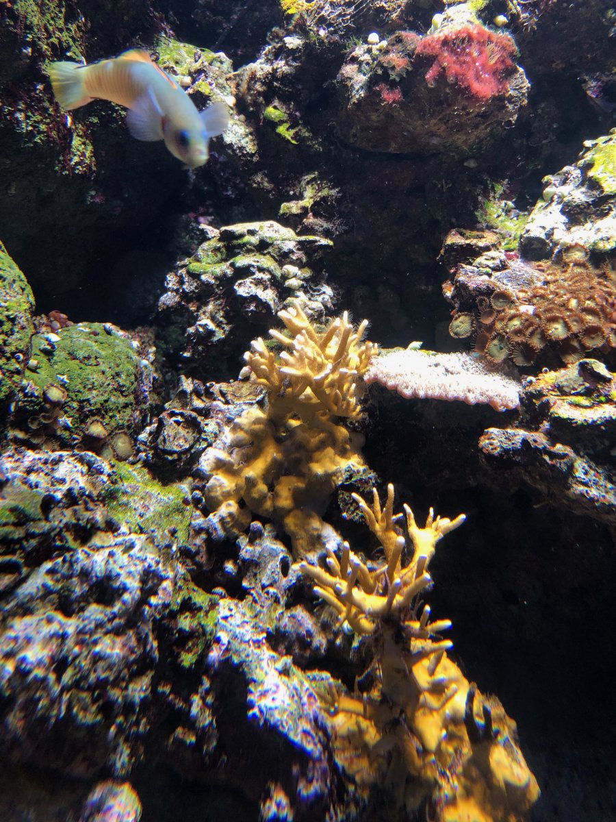 IMG_1626.jpeg