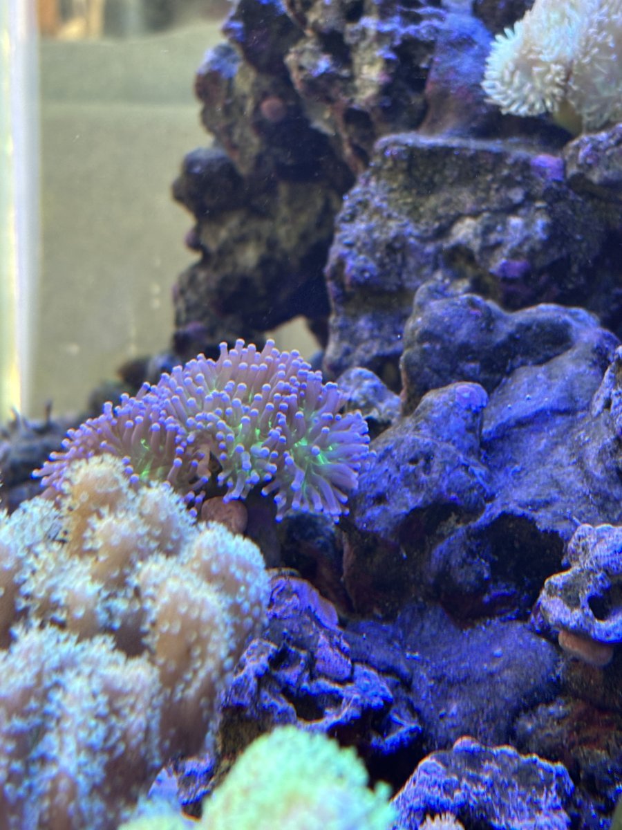 IMG_1627.jpeg